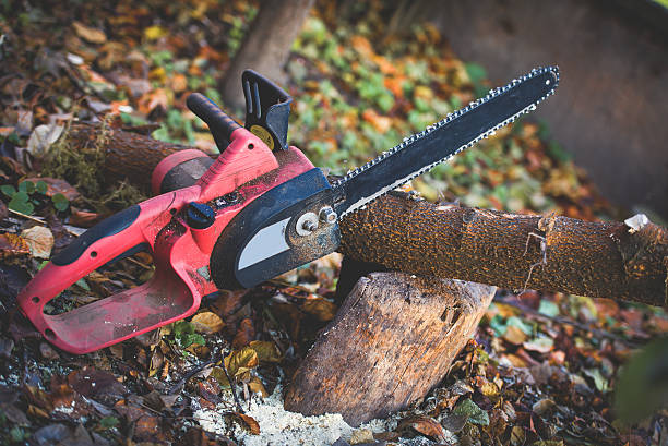 Leaf Removal in Oronoco, MN